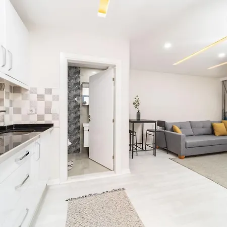 Modern And Central Flat Near Beach In Muratpasa Apartment